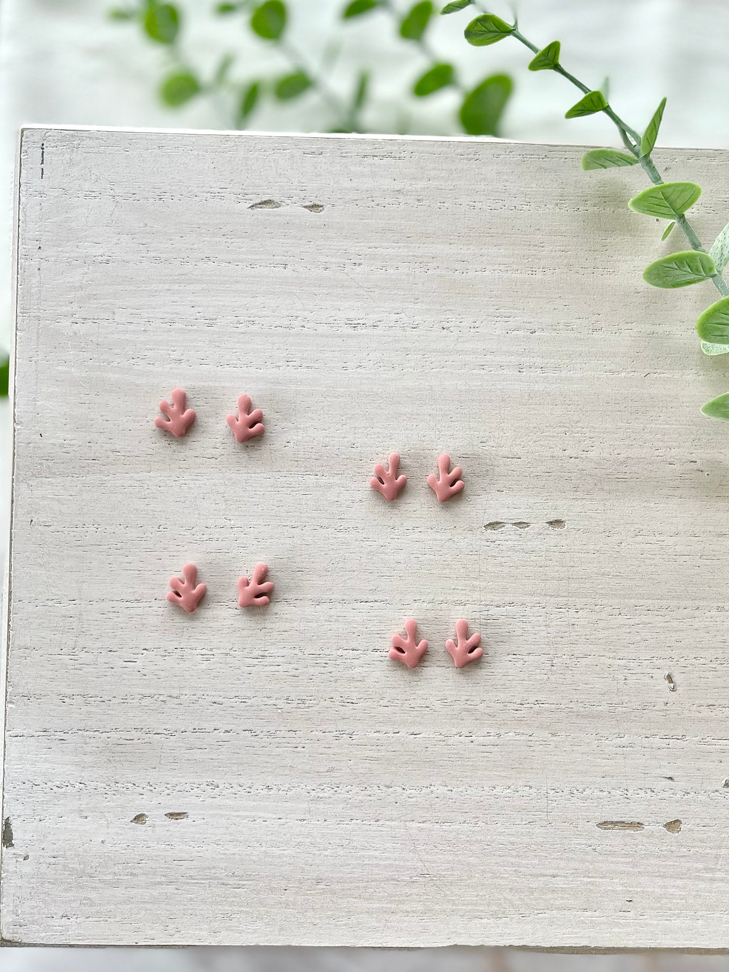 Coral Studs