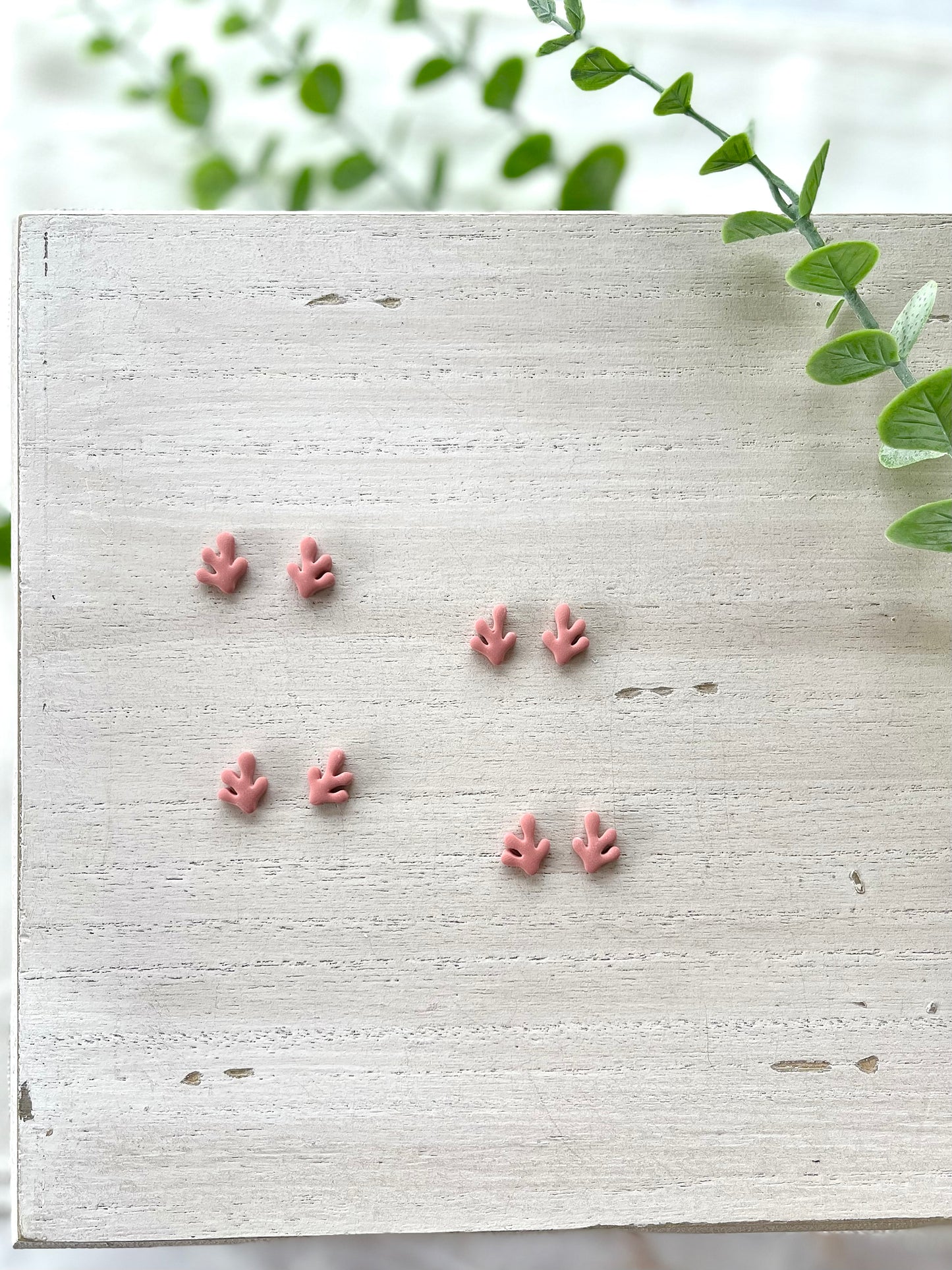 Coral Studs