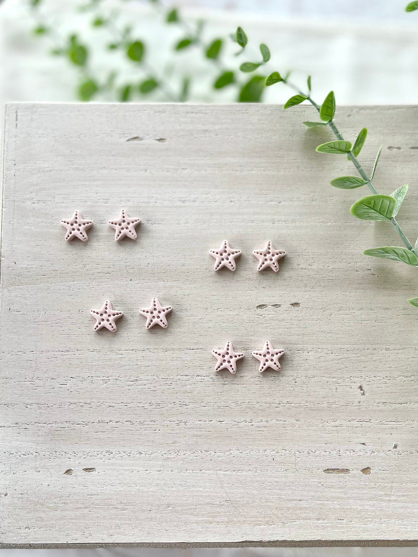 Star Fish Studs